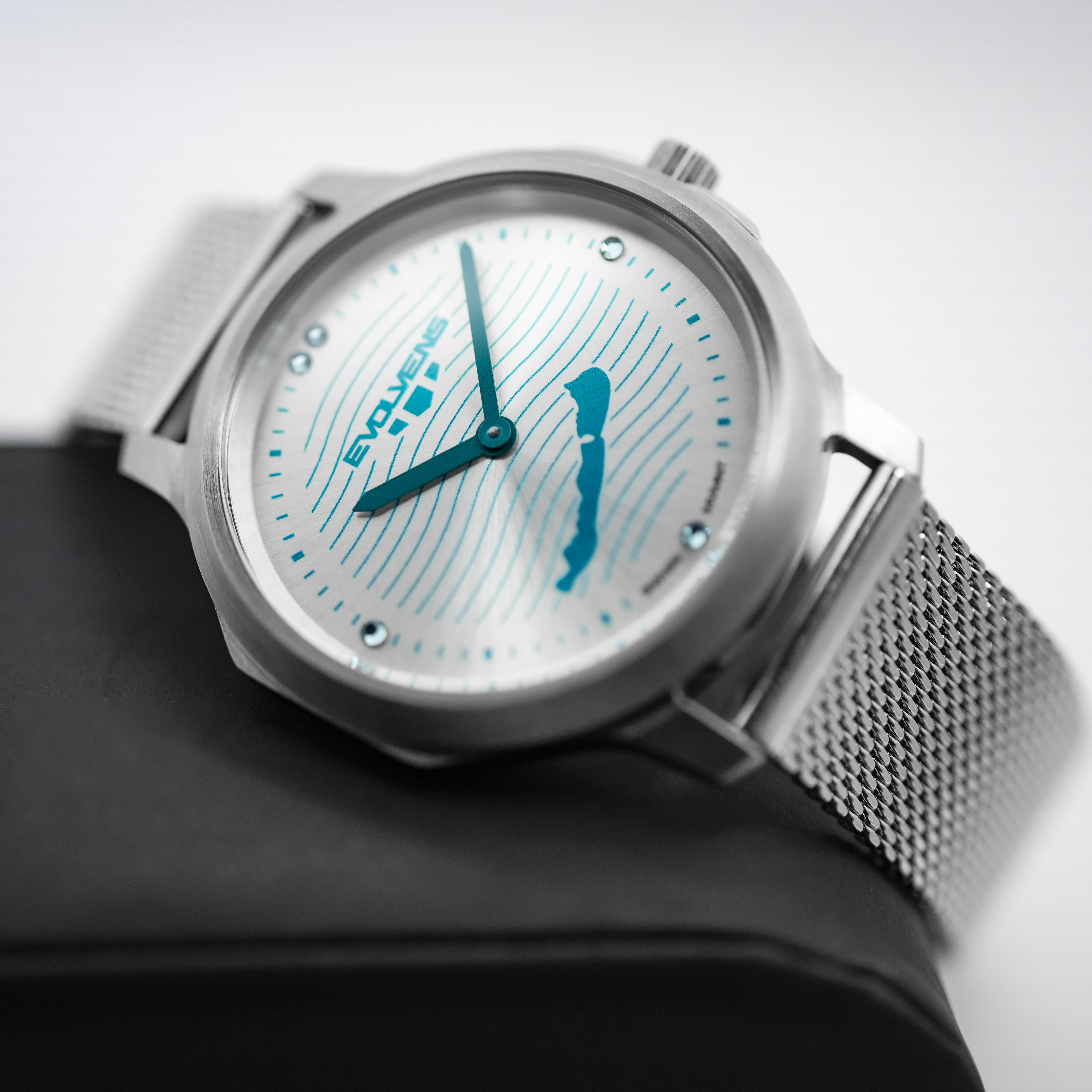 Evolvens BALATON Silver 34 mm Watch