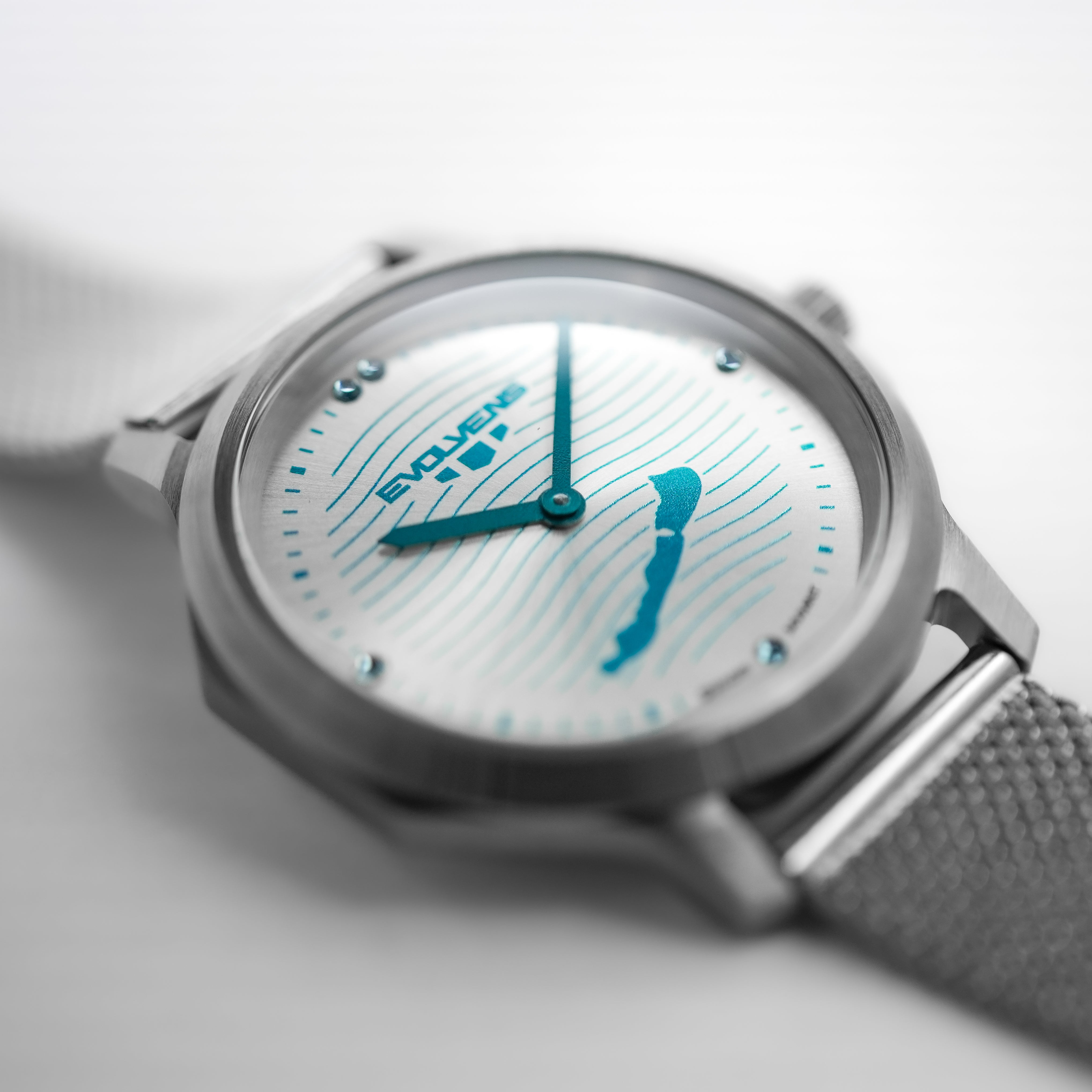 Evolvens BALATON Silver 34 mm Watch